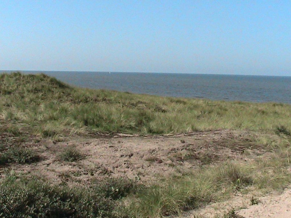 Beachroom Zandvoort Eksteriør billede